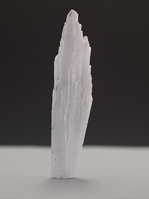 Angel Wing Blue Anhydrite Specimen